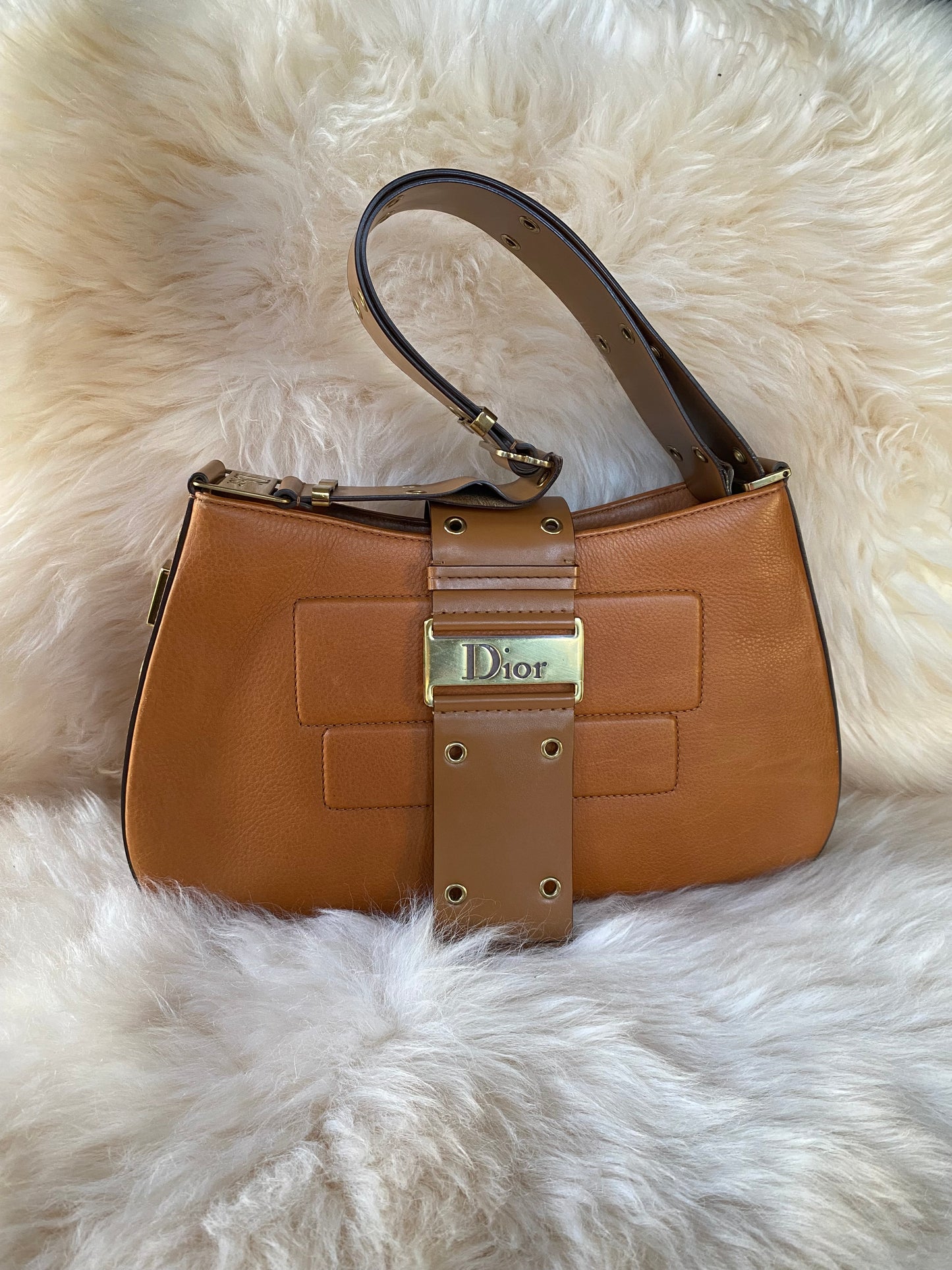 Dior Street Chic Shoulder Bag Mini Brown